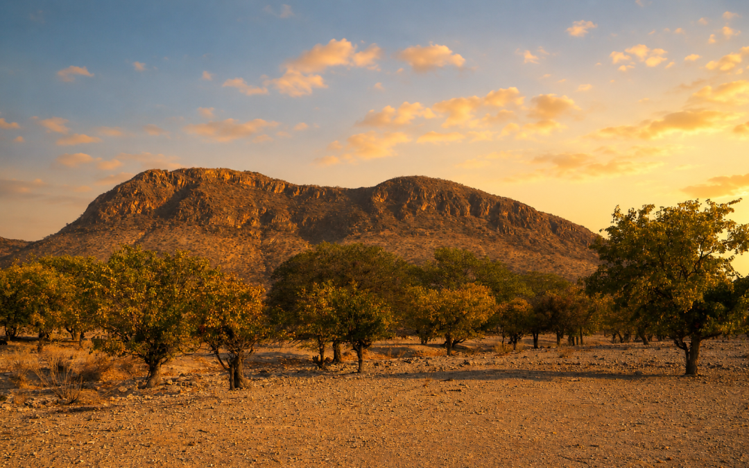 ‘Land is not like a headdress’